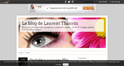 Desktop Screenshot of laurent.thauvin.over-blog.com