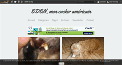Desktop Screenshot of cockersamericains.over-blog.com
