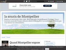 Tablet Screenshot of la-souris-de-montpellier.over-blog.com