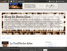 Tablet Screenshot of bono-gur.over-blog.com