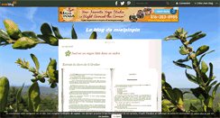 Desktop Screenshot of mielpimpin.over-blog.com