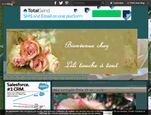 Tablet Screenshot of lili-touche-tout.over-blog.fr