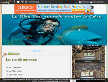 Tablet Screenshot of cmfrev.over-blog.fr