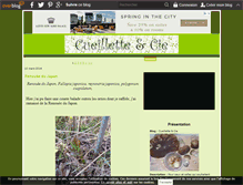 Tablet Screenshot of cueillette-cie.over-blog.com