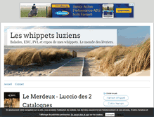 Tablet Screenshot of luziens.over-blog.com