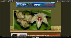Desktop Screenshot of hoya.over-blog.com