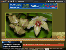 Tablet Screenshot of hoya.over-blog.com
