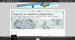 Desktop Screenshot of cameleon-calyptratus-bigood.over-blog.com