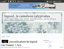 Tablet Screenshot of cameleon-calyptratus-bigood.over-blog.com