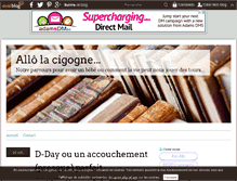 Tablet Screenshot of allolacigogne.over-blog.com
