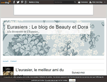 Tablet Screenshot of beautydoraetvelours.over-blog.com