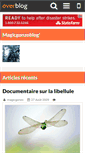 Mobile Screenshot of magicgonzo.over-blog.fr