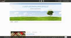 Desktop Screenshot of lileetlescrapalafoliefolle.over-blog.com