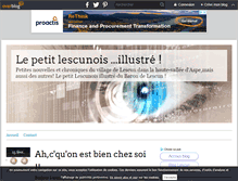 Tablet Screenshot of lescunhierdemain.over-blog.com