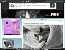 Tablet Screenshot of maliki-thecat.over-blog.com