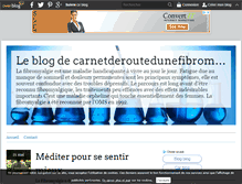 Tablet Screenshot of carnetderoutedunefibromyalgique.over-blog.com