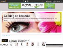 Tablet Screenshot of broizine-fantaisies.over-blog.fr