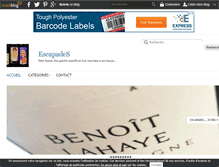 Tablet Screenshot of escapades.over-blog.fr