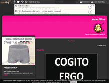 Tablet Screenshot of annefillon.over-blog.com