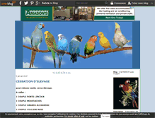 Tablet Screenshot of amicalementbirds.over-blog.com