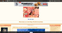 Desktop Screenshot of danielle.les.photos.over-blog.com