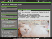 Tablet Screenshot of grands-saules.chaton.over-blog.com