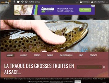 Tablet Screenshot of fario.over-blog.com