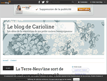 Tablet Screenshot of laterreneuvane.over-blog.com