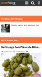 Mobile Screenshot of furansuzen.over-blog.com