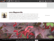 Tablet Screenshot of cocomagnanville.over-blog.com