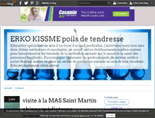 Tablet Screenshot of erkochienvisiteur.over-blog.com