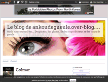 Tablet Screenshot of ankoudegueule.over-blog.com