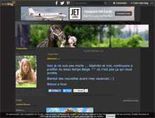 Tablet Screenshot of lili-horse.over-blog.com