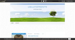 Desktop Screenshot of lebilletdeprofette.over-blog.com