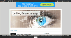 Desktop Screenshot of amine.sagm.over-blog.com